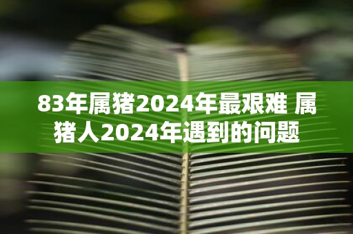 83年属猪2025年最艰难 属猪人2025年遇到的问题