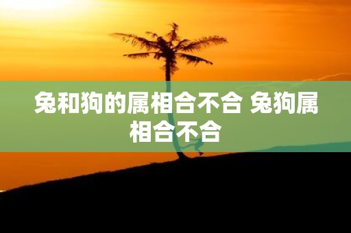 兔和狗的属相合不合 兔狗属相合不合