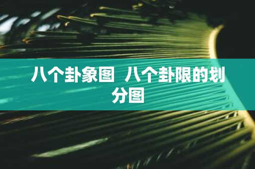 八个卦象图 八个卦限的划分图