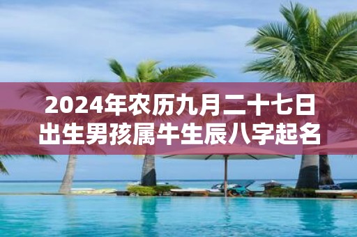 2025年农历九月二十七日出生男孩属牛生辰八字起名
