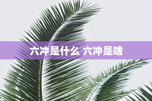六冲是什么 六冲是啥
