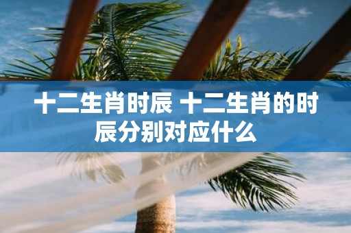 十二生肖时辰 十二生肖的时辰分别对应什么