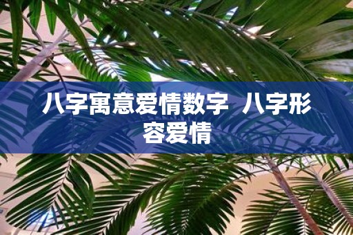 八字寓意爱情数字 八字形容爱情