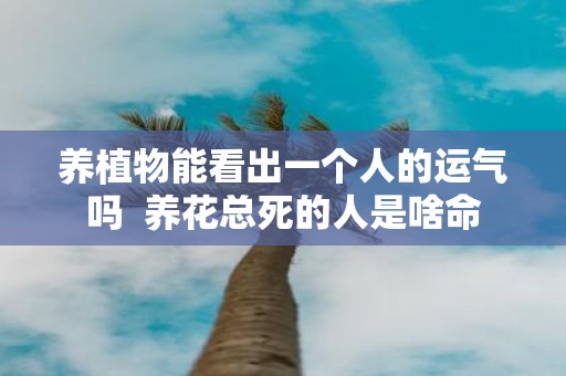 养植物能看出一个人的运气吗 养花总死的人是啥命