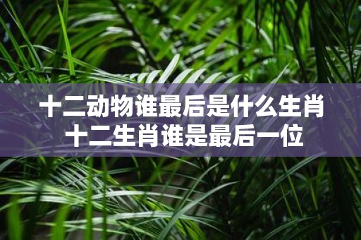 十二动物谁最后是什么生肖 十二生肖谁是最后一位