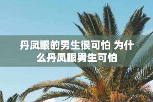 丹凤眼的男生很可怕 为什么丹凤眼男生可怕