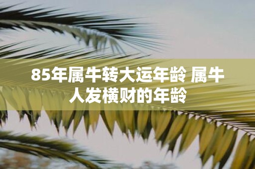 85年属牛转大运年龄 属牛人发横财的年龄