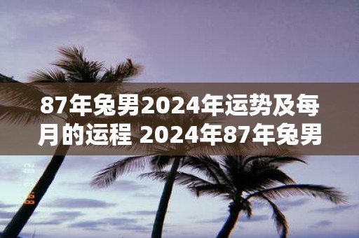 87年兔男2025年运势及每月的运程 2025年87年兔男的运势及月运如何