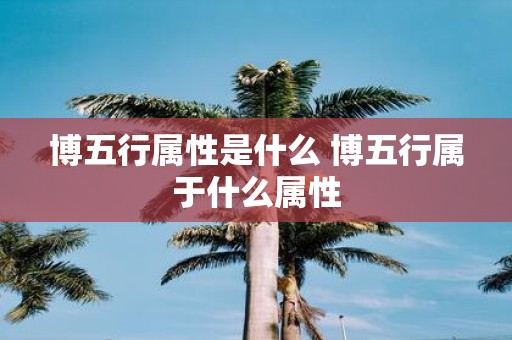 博五行属性是什么 博五行属于什么属性