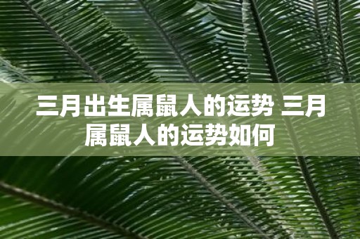 三月出生属鼠人的运势 三月属鼠人的运势如何