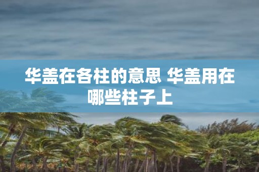华盖在各柱的意思 华盖用在哪些柱子上