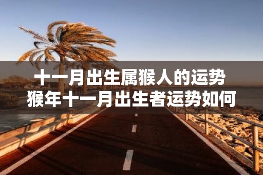 十一月出生属猴人的运势 猴年十一月出生者运势如何