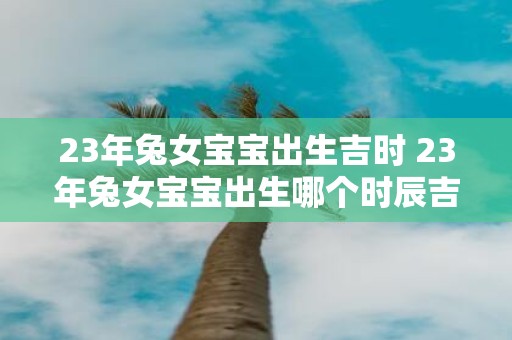 23年兔女宝宝出生吉时 23年兔女宝宝出生哪个时辰吉利