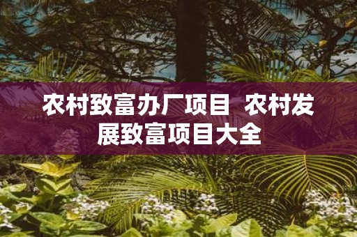 农村致富办厂项目 农村发展致富项目大全