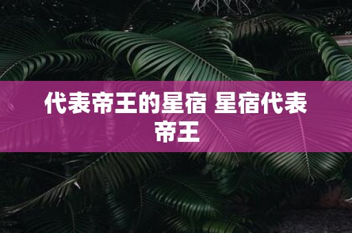 代表帝王的星宿 星宿代表帝王