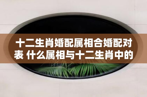 十二生肖婚配属相合婚配对表 什么属相与十二生肖中的猪婚配最佳