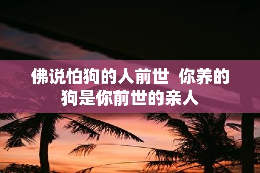 佛说怕狗的人前世 你养的狗是你前世的亲人