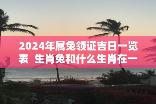 2025年属兔领证吉日一览表 生肖兔和什么生肖在一起合适
