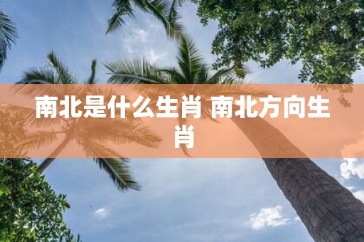 南北是什么生肖 南北方向生肖