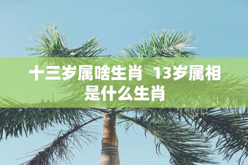 十三岁属啥生肖 13岁属相是什么生肖