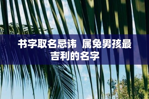 书字取名忌讳 属兔男孩最吉利的名字