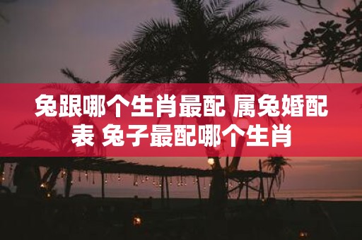 兔跟哪个生肖最配 属兔婚配表 兔子最配哪个生肖