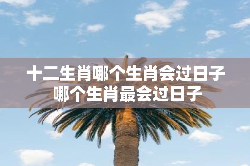 十二生肖哪个生肖会过日子 哪个生肖最会过日子
