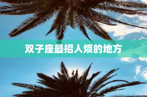 双子座最招人烦的地方