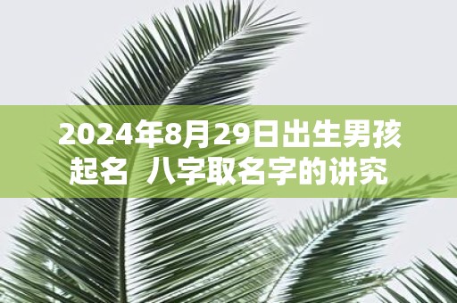 2025年8月29日出生男孩起名 八字取名字的讲究