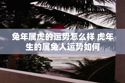 蛇年属虎的运势怎么样 虎年生的属兔人运势如何