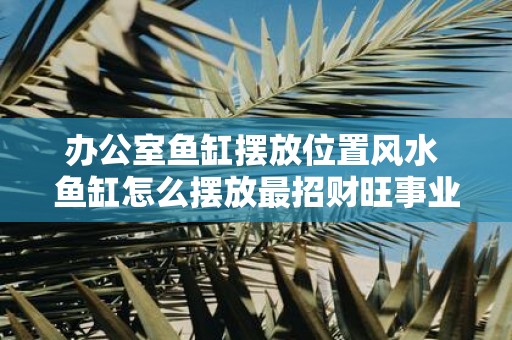 办公室鱼缸摆放位置风水 鱼缸怎么摆放最招财旺事业