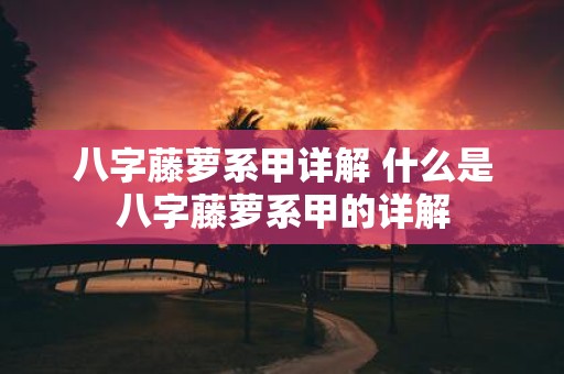 八字藤萝系甲详解 什么是八字藤萝系甲的详解