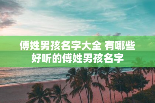 傅姓男孩名字大全 有哪些好听的傅姓男孩名字