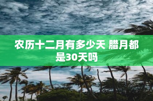 农历十二月有多少天 腊月都是30天吗