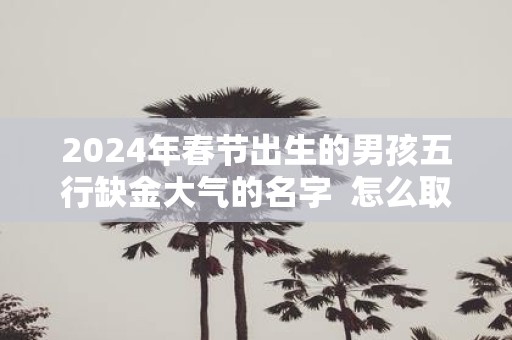 2025年春节出生的男孩五行缺金大气的名字 怎么取名字