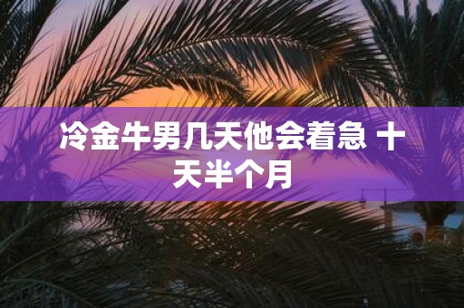 冷金牛男几天他会着急 十天半个月