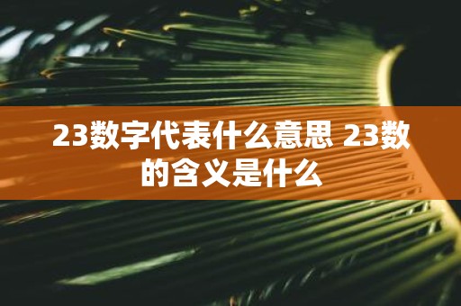 23数字代表什么意思 23数的含义是什么