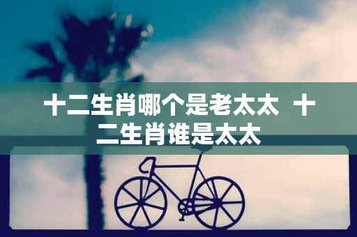 十二生肖哪个是老太太 十二生肖谁是太太