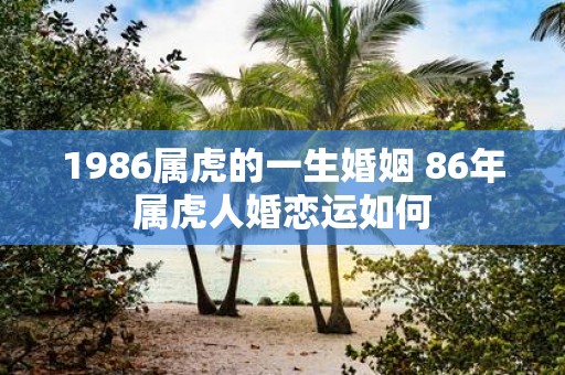 1986属虎的一生婚姻 86年属虎人婚恋运如何