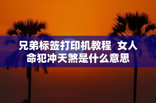 兄弟标签打印机教程 女人命犯冲天煞是什么意思