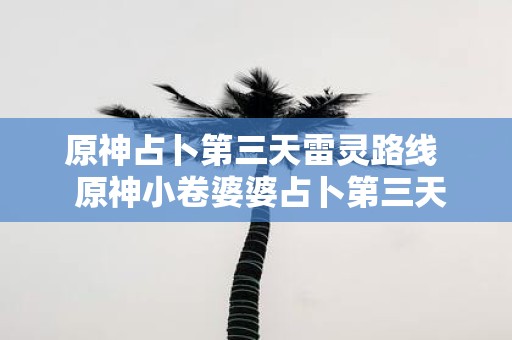 原神占卜第三天雷灵路线 原神小卷婆婆占卜第三天