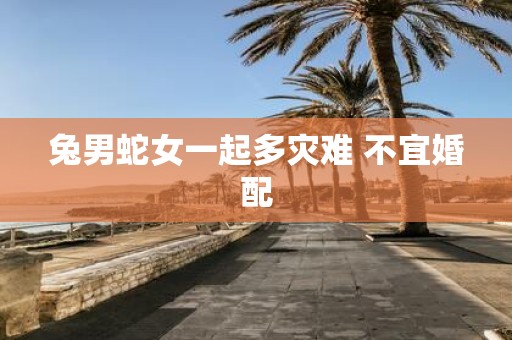 兔男蛇女一起多灾难 不宜婚配