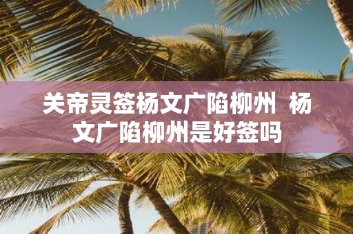 关帝灵签杨文广陷柳州 杨文广陷柳州是好签吗