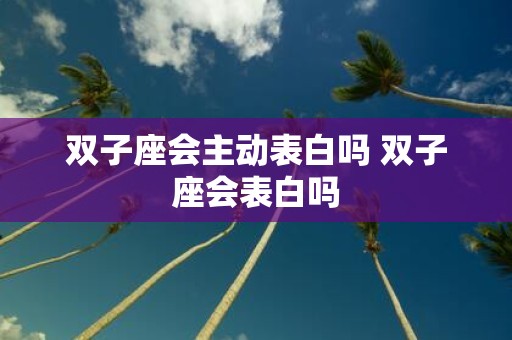 双子座会主动表白吗 双子座会表白吗