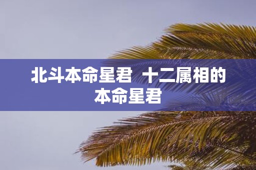 北斗本命星君 十二属相的本命星君