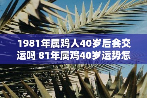 1981年属鸡人40岁后会交运吗 81年属鸡40岁运势怎么样