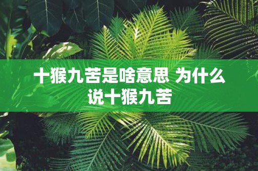 十猴九苦是啥意思 为什么说十猴九苦
