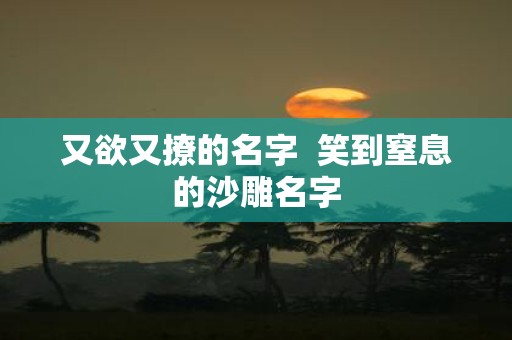又欲又撩的名字 笑到窒息的沙雕名字