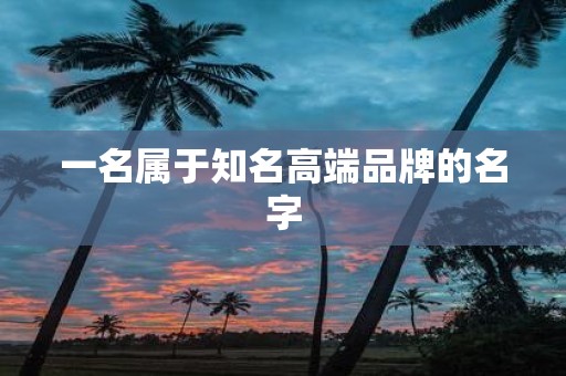 一名属于知名高端品牌的名字