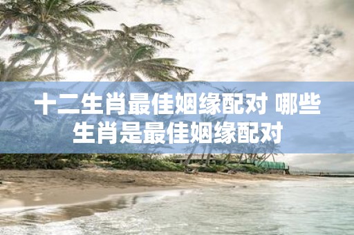 十二生肖最佳姻缘配对 哪些生肖是最佳姻缘配对